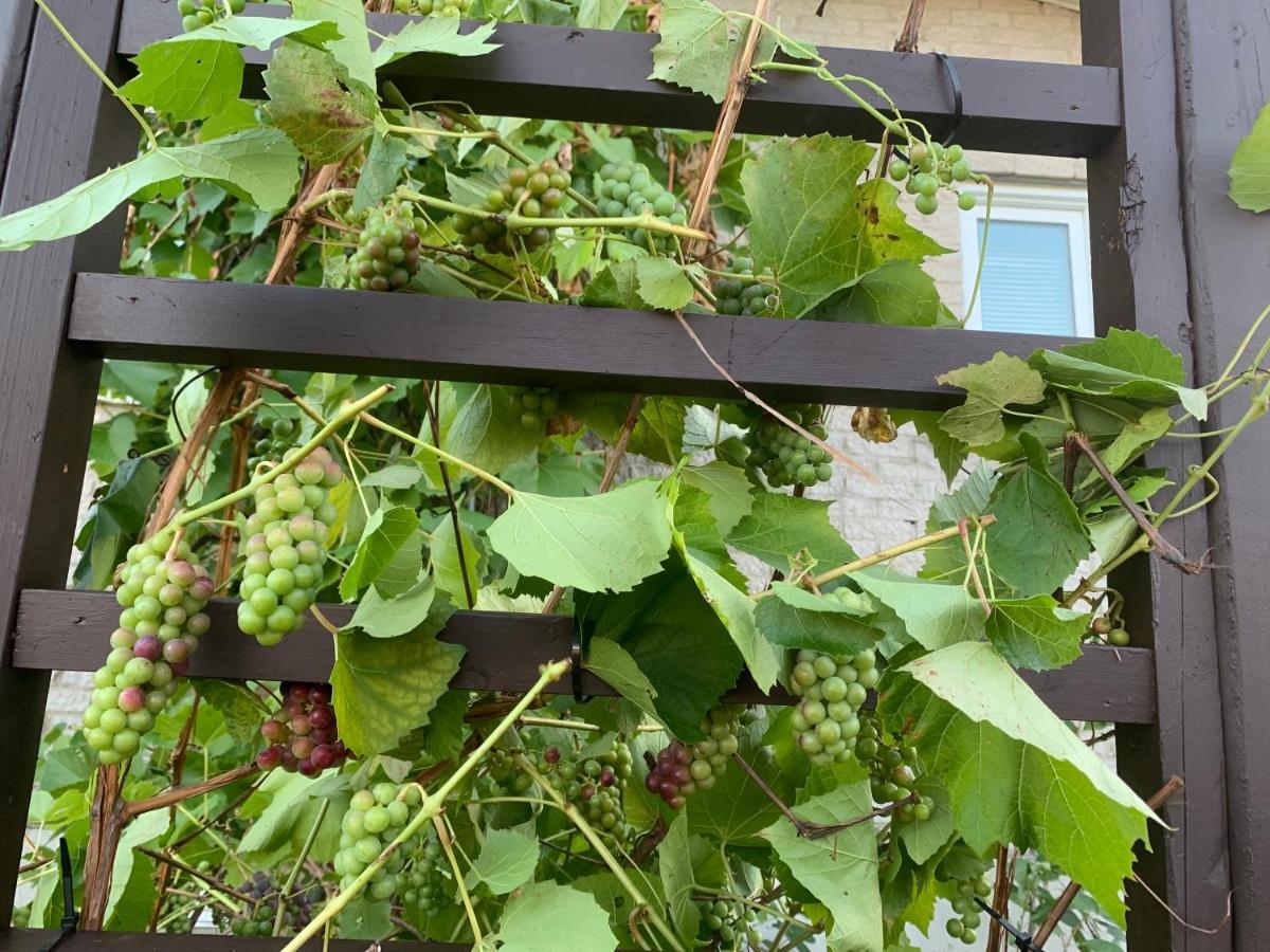 Auberge Chez Caro Sacre-Coeur Zewnętrze zdjęcie